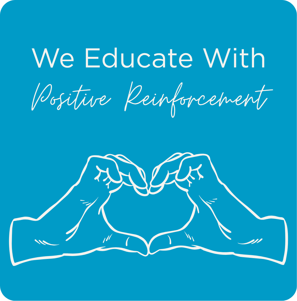 positive reinforcement